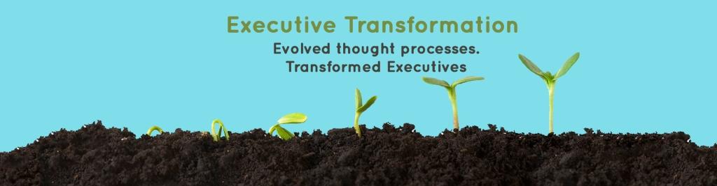 Executive Transformation